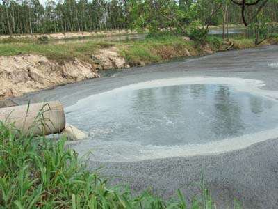 xử lý nước thải sản xuất tinh bột mì