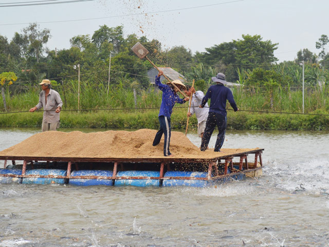 Máy lọc nước tại An Giang