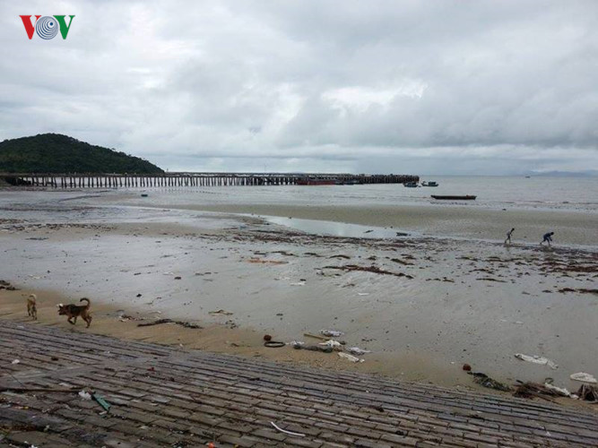 Máy lọc nước tại Quảng Ninh