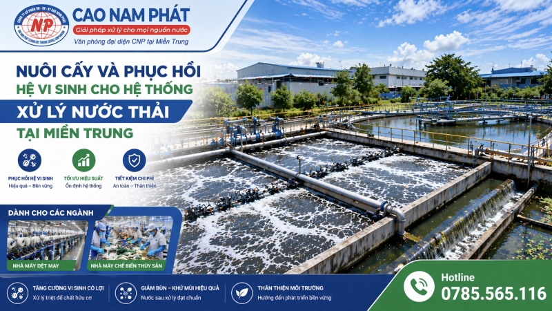 Giải pháp 15 ngày phục hồi hệ sinh thái vi sinh cho nhà máy tại Huế, Quảng Trị, Quảng Bình.
