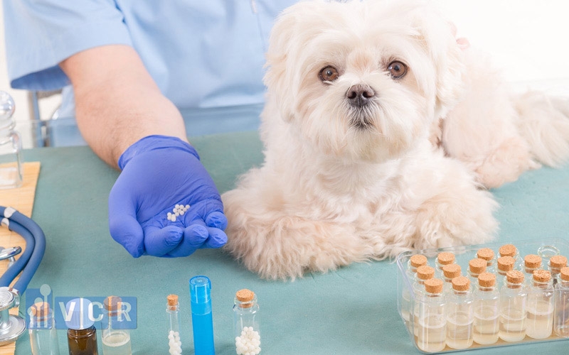 Hệ Thống Lọc Nước RO Sản Xuất Thuốc Thú Y Tại Bình Định