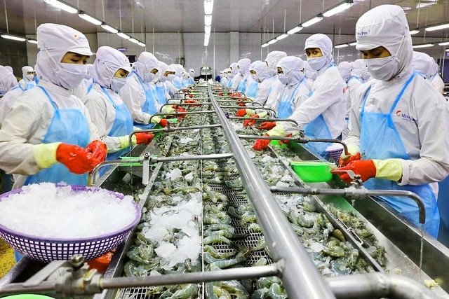 Hệ thống lọc nước RO sản xuất và chế biến thực phẩm tại Huế