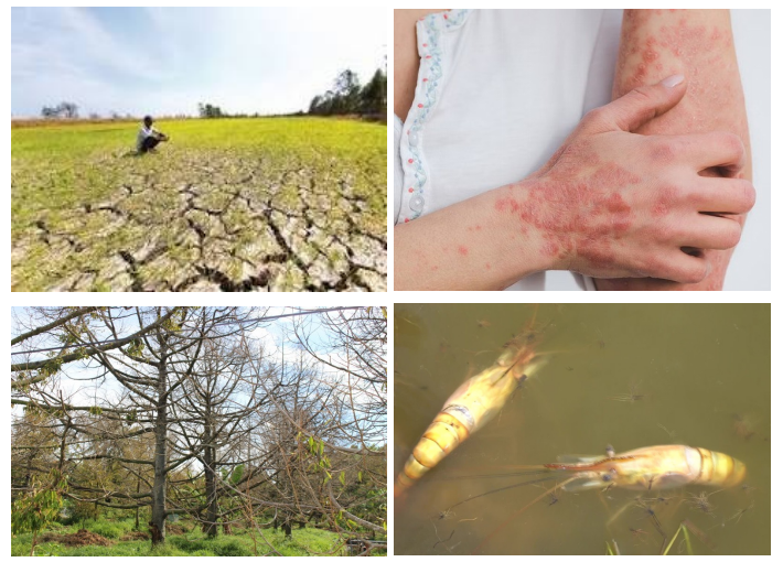 Lọc nước nước nhiễm mặn tại Bến Tre, xử lý nước sinh hoạt 