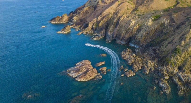 Xử Lý Nước Thải Chăn Nuôi Tại Bình Định