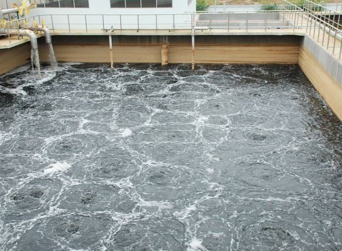 Xử Lý Nước Thải Chăn Nuôi Tại Quảng Bình