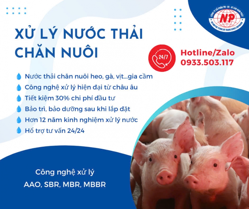 Xử Lý Nước Thải Chăn Nuôi Tại Quảng Trị 