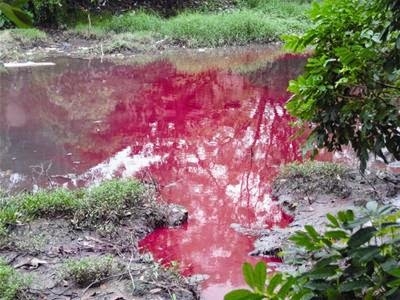 Xử Lý Nước Thải Dệt Nhuộm, Đảm Bảo Quy Chuẩn QCVN 13-MT:2015/BTNMT